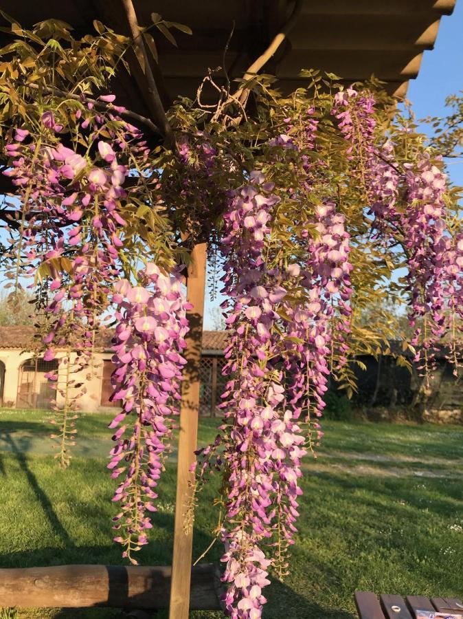 Agriturismo Corte Galvagnina Cesole Kültér fotó