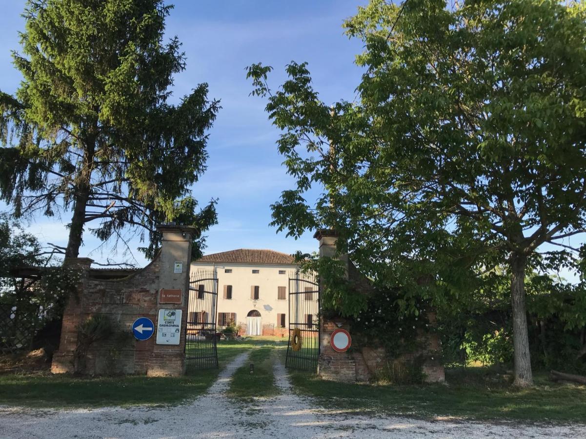 Agriturismo Corte Galvagnina Cesole Kültér fotó